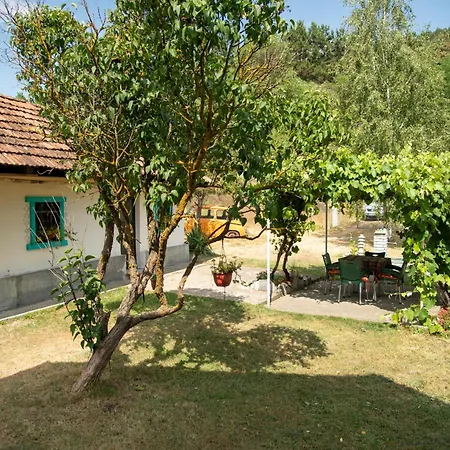 Baba's House Holiday home Raska